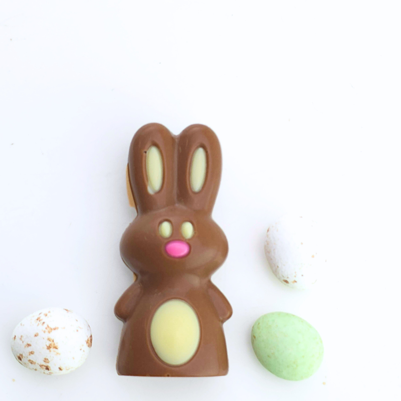 Five Mini Me Bunnies