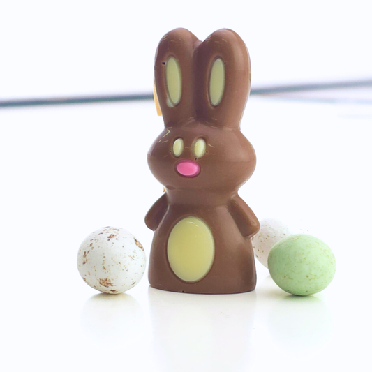 Five Mini Me Bunnies
