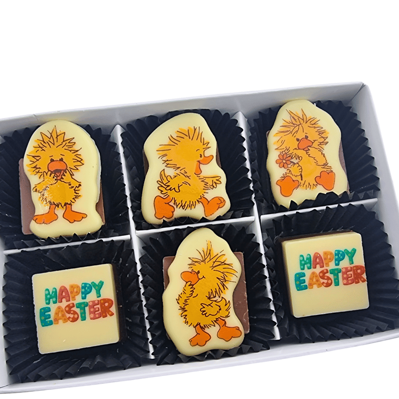 Funky Duck Box - Medium